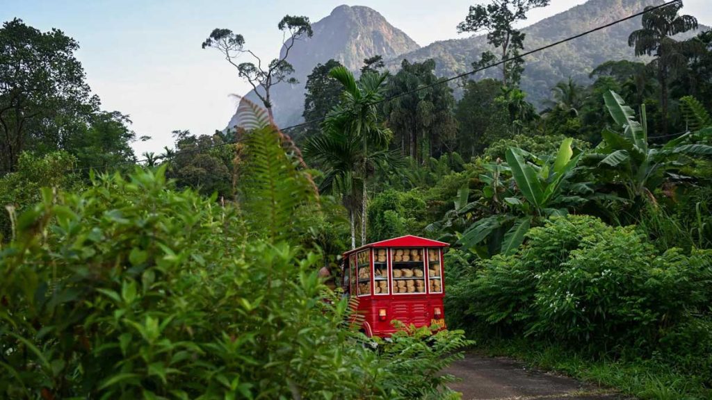 HOW THE MUSICAL CHOON PAAN VANS OF SRI LANKA BECAME AN UNLIKELY SYMBOL OF HOPE