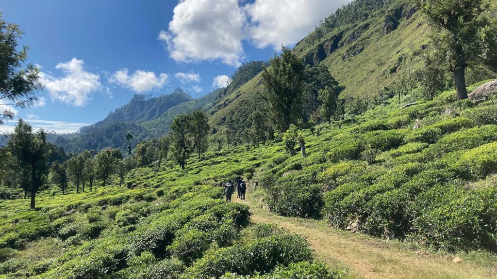 THE NEW SRI LANKAN HIKING TRAIL THAT LEADS TO THE HEART OF THE HILL COUNTRY
